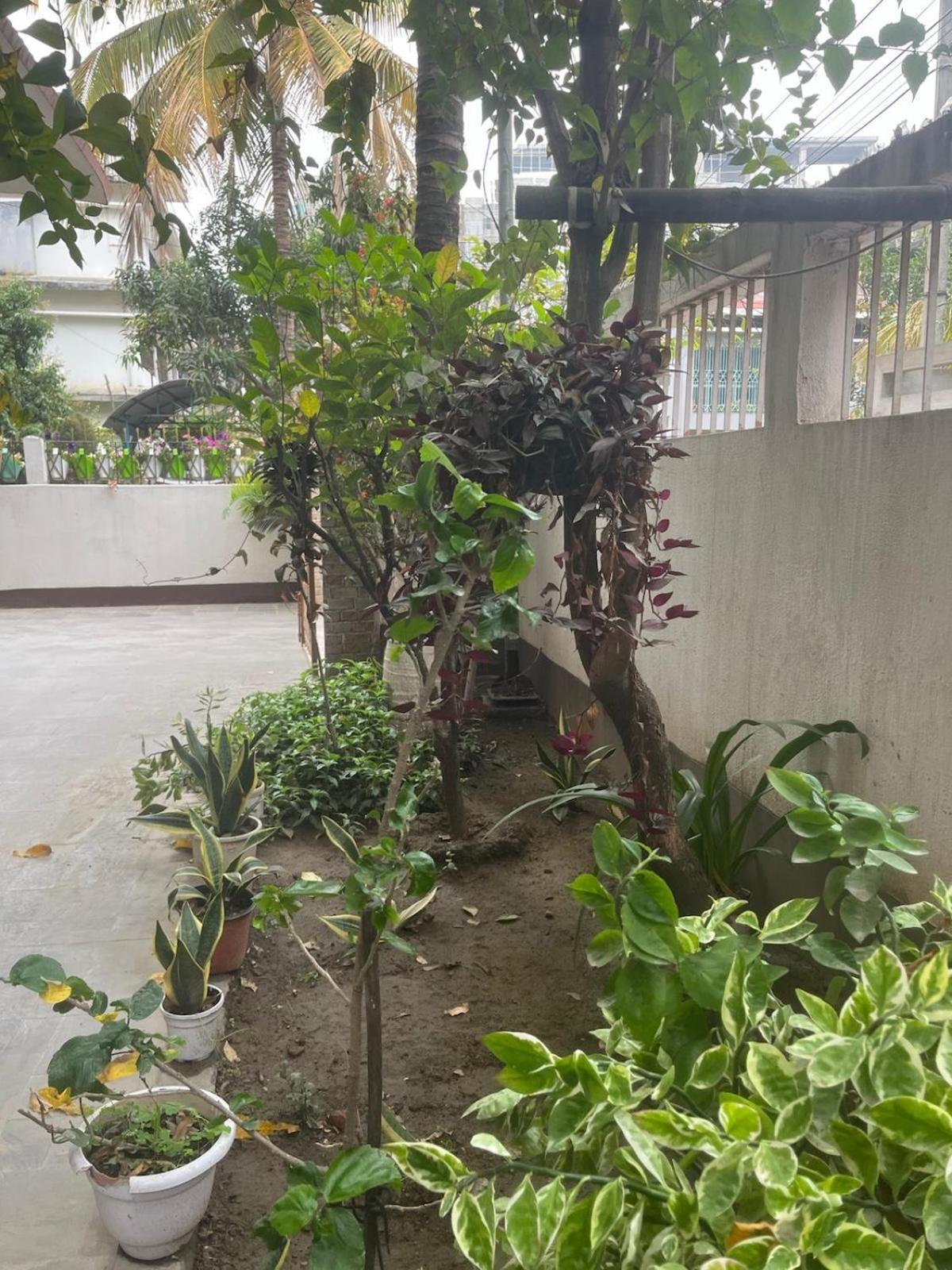 Amazing Homestay グワーハーティー エクステリア 写真