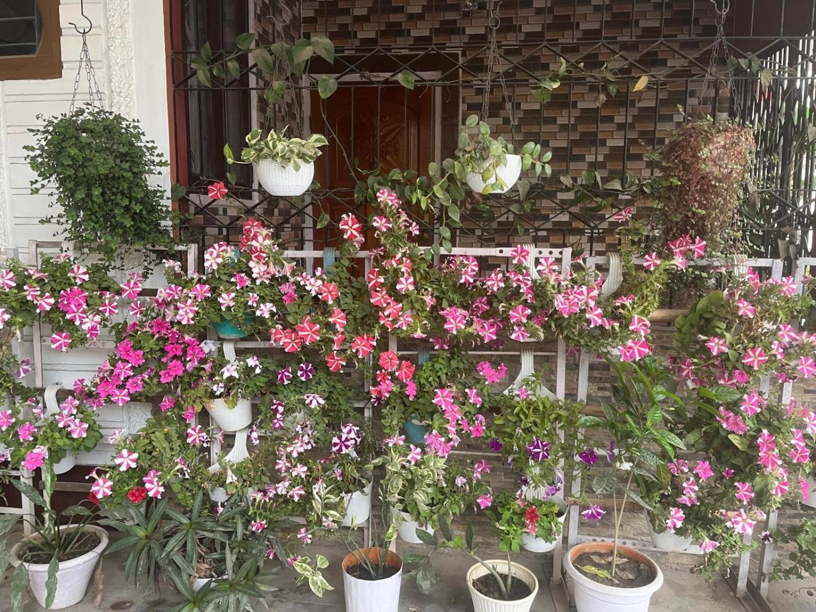 Amazing Homestay グワーハーティー エクステリア 写真