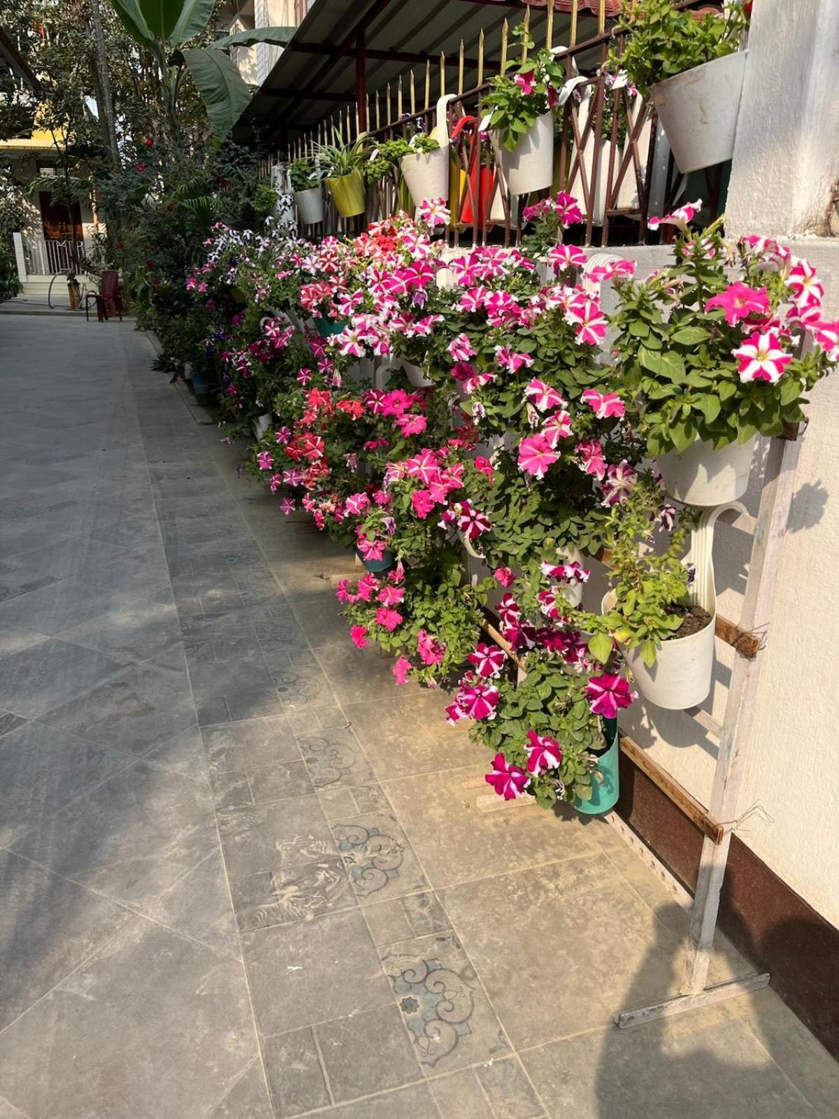 Amazing Homestay グワーハーティー エクステリア 写真